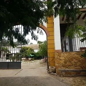 https://alambique-holiday-setenil.es-andalucia.com
